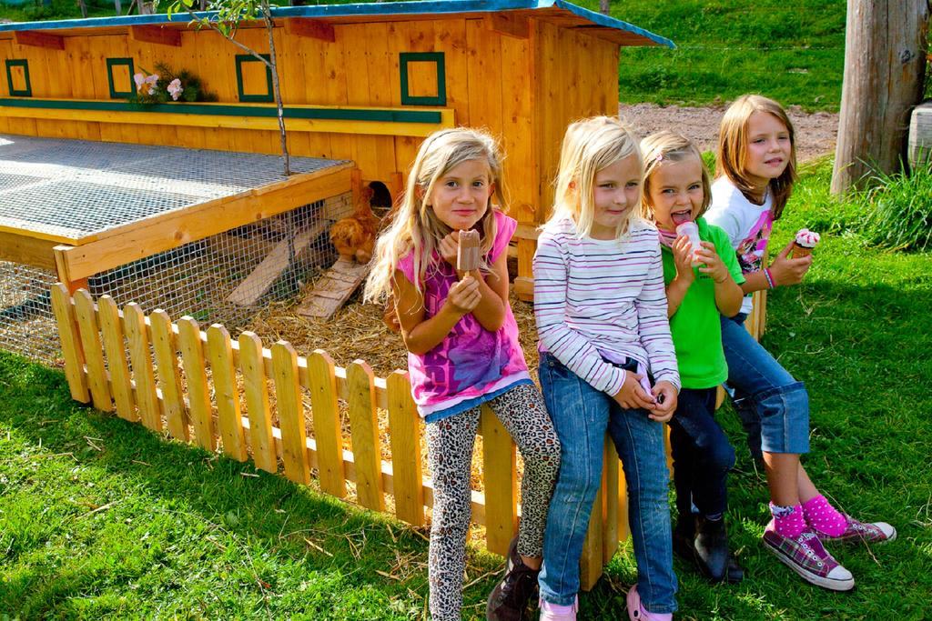 Ferienwohnung Lochgrubgut Altenmarkt im Pongau Exterior foto