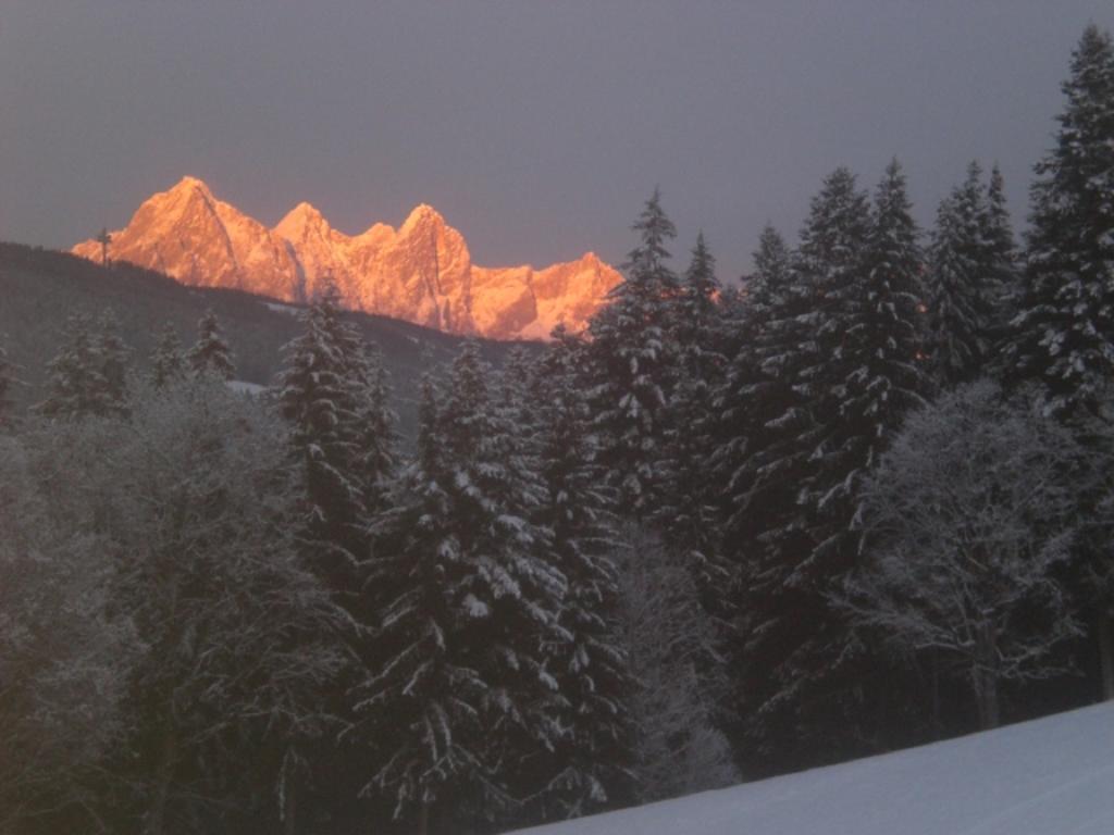 Ferienwohnung Lochgrubgut Altenmarkt im Pongau Exterior foto